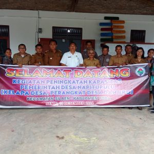 KEGIATAN PENINGKATAN KAPASITAS PEMERINTAHAN DESA NAPITUPULU