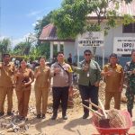 TRIAL GO DESA NAPITUPULU