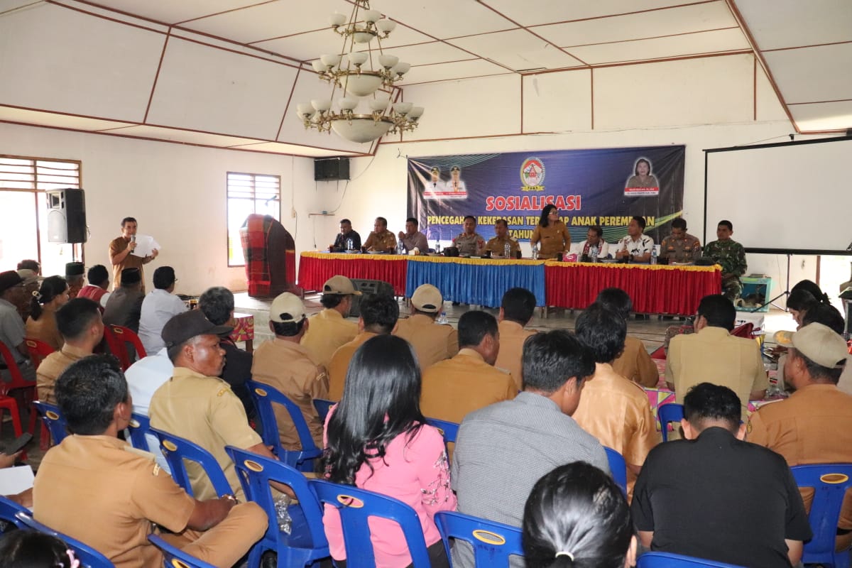 SOSIALISASI PENCEGAHAN KEKERASAN TERHADAP ANAK DAN PEREMPUAN DIGELAR DI SILAEN