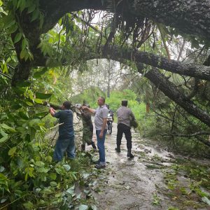 Kejadian pohon tumbang ke badan jalan di dusun IV Desa Ombur Kec Silaen. Kejadian terjadi akibat curah hujan yg sangat tinggi. Situasi sudah dapat dikendalikan, dan arus transportasi untuk para pengguna jalan.