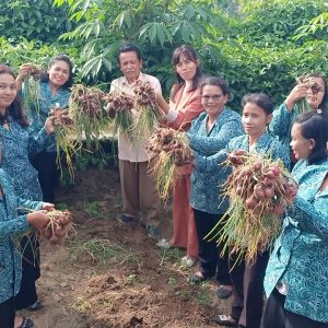 Kegiatan pembinaan PKK desa simanobak dalam rangka persiapan Evaluasi Propinsi Sumatera Utara Tahun 2026.